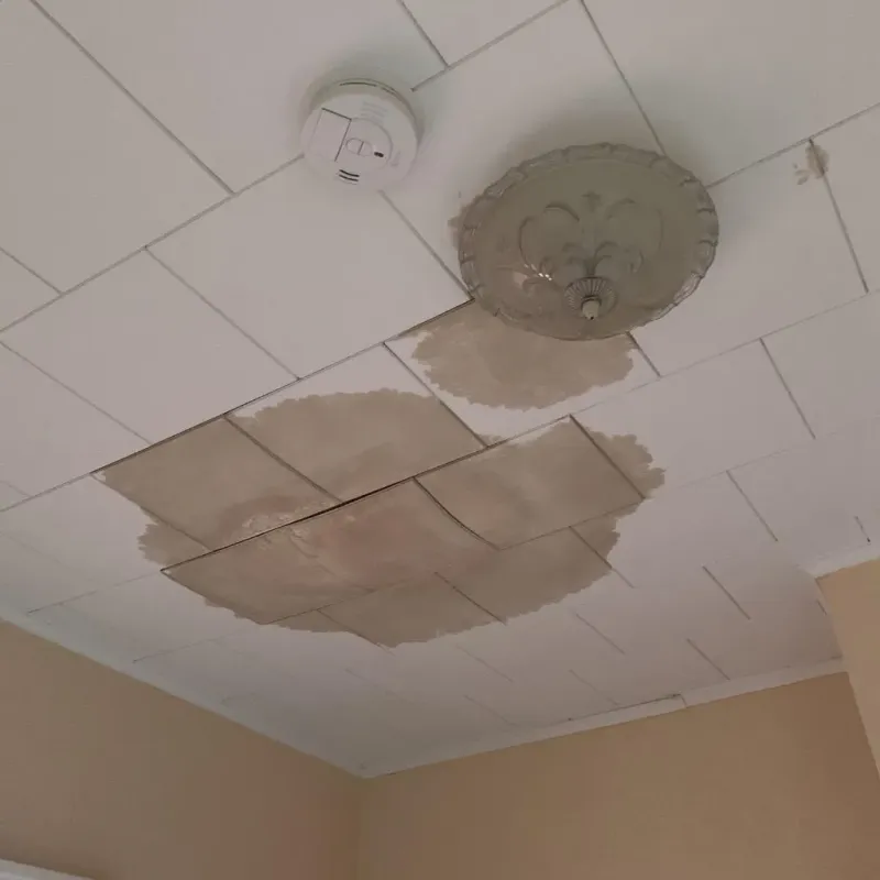 Ceiling Water Damage Repair in West Easton, PA