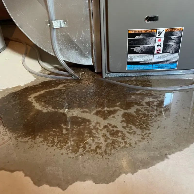 Pipe Burst and Leak Restoration in West Easton, PA
